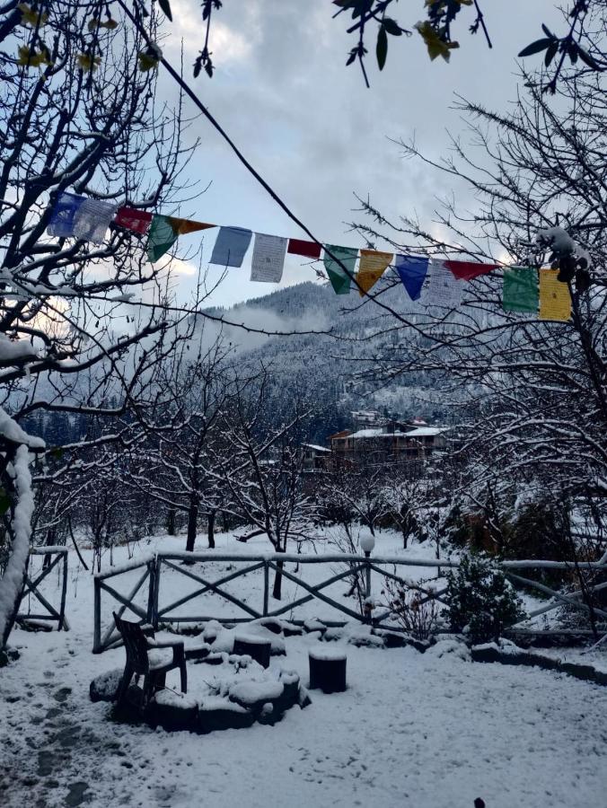 Mars Monkey Hostel & Cafe Manāli Dış mekan fotoğraf