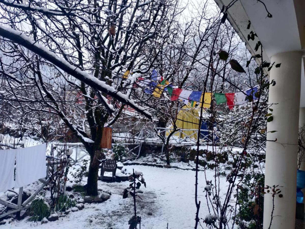 Mars Monkey Hostel & Cafe Manāli Dış mekan fotoğraf