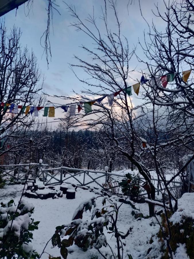 Mars Monkey Hostel & Cafe Manāli Dış mekan fotoğraf