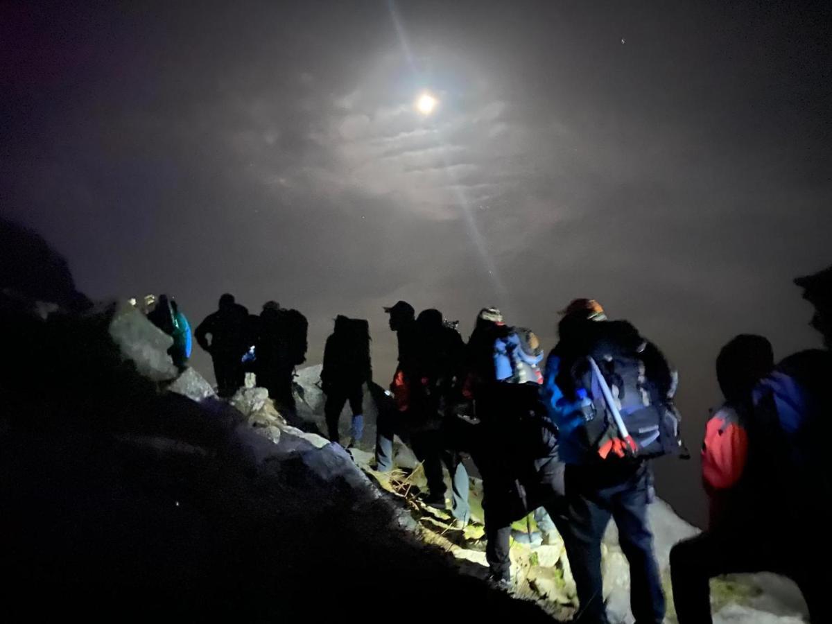 Mars Monkey Hostel & Cafe Manāli Dış mekan fotoğraf