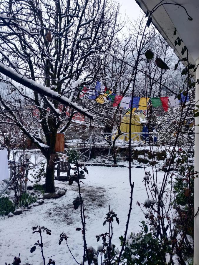 Mars Monkey Hostel & Cafe Manāli Dış mekan fotoğraf